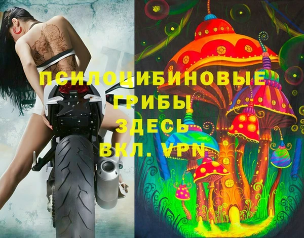 ПСИЛОЦИБИНОВЫЕ ГРИБЫ Алексин
