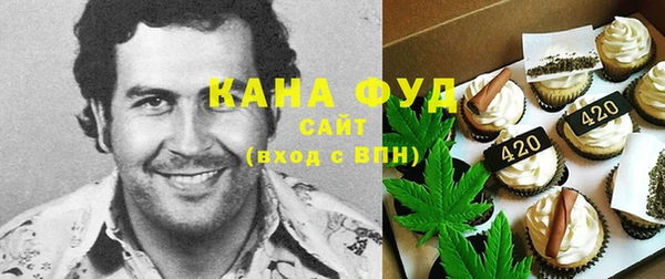 молекула духа Алексеевка