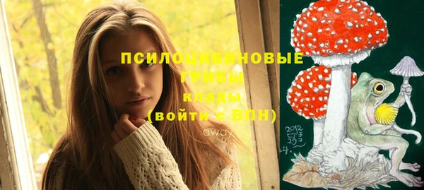 ПСИЛОЦИБИНОВЫЕ ГРИБЫ Алексин