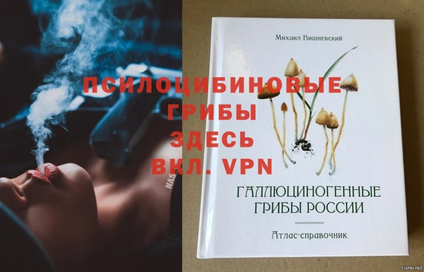 ПСИЛОЦИБИНОВЫЕ ГРИБЫ Алексин